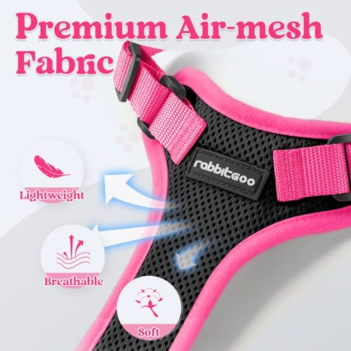 Cat Harness and Leash Set (Black & Rose Pink / Xs)