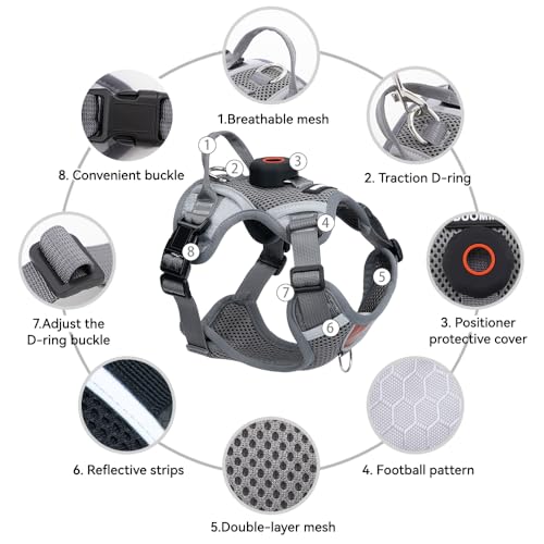 Cat Harness and Leash Set with AirTag Holder (Grey (Holder for Airtag) / M)