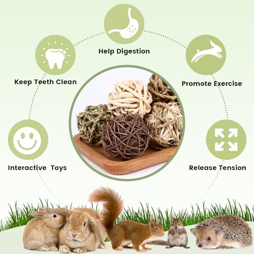 Bunny Rabbit Chew Grass Balls (8 Pack)