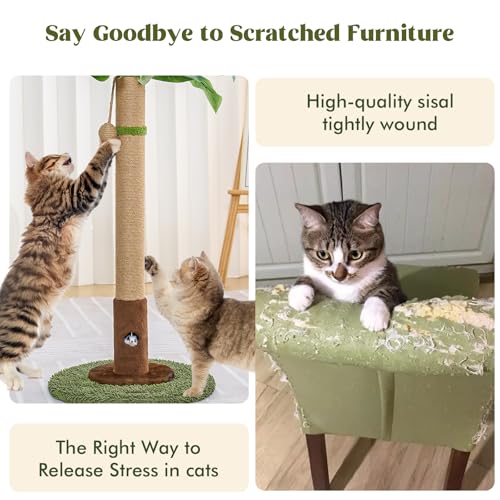 Cat Scratching Post for Indoor Cats (35.4-Green / 35.4in)