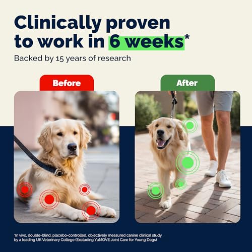 Dog Hip & Joint Supplement (300 Tablets)