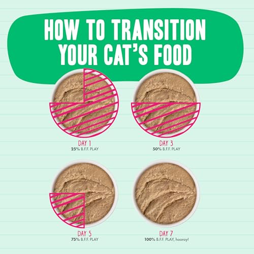B.F.F. Play Best Feline Friend Paté Lovers (3 Ounce (Pack of 12))