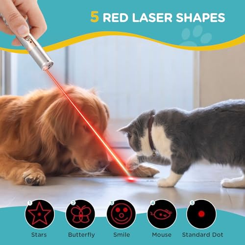 Cat Toy for Indoor (Rose Gold)