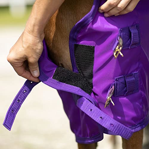 Dura Nylon Horse Stable Sheets (Horse Size 44 / V-Free | Open Front | Legstrap / Purple)