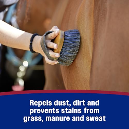 Laser Sheen Dazzling Shine & Detangler Concentrate for Horses 12 oz (12 oz concentrate)