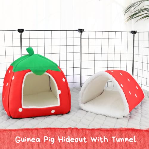 Guinea Pig Hideout with Tunnel (Red strawberry)