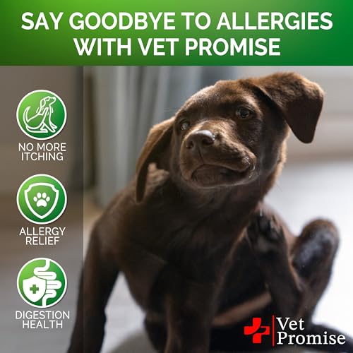 Dog Allergy Relief Chews for Itchy Skin and Seasonal Itch Support