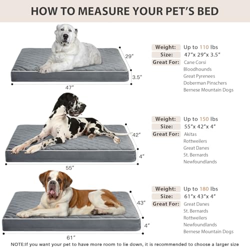 Orthopedic Giant Human Dog Beds for Adult & Dog Cozy Sleep (Grey / 61"L x 43"W x 4"Th)