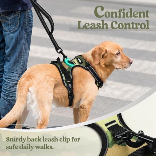 Dog Harness No Pull for Small Dogs with 2 Leash Clips (Small / Green Mountain)