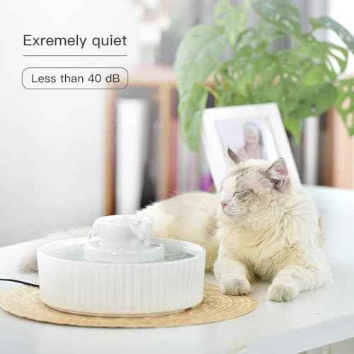 Pet Drinking Fountain