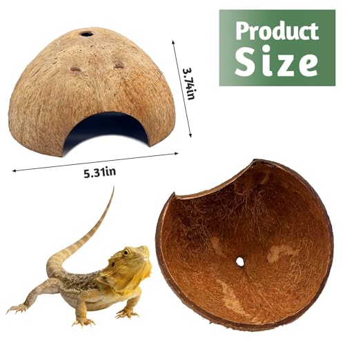 6 PCS Natural Coconut Reptile Hideouts Lizard Coco Hut Hermit Crab Hut Aquarium Fish Hide Cave Spider Snail Climber Toys (Smooth Surface / 6 PCS)