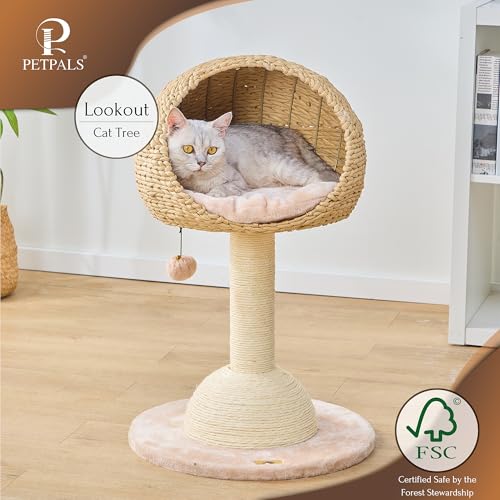 2 Level Cat Tree with Handwoven Recycled Paper Rope Baskets (Brown Beige)