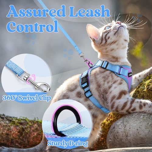 Cat Harness and Leash Set (Purple & Blue / Xs)