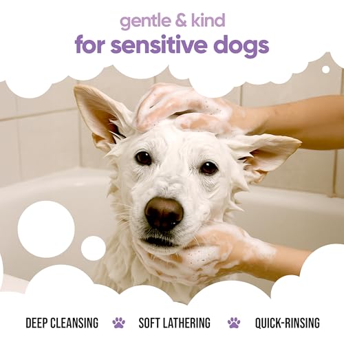 White Dog Shampoo by Buddycare (33.8oz)