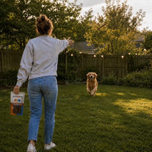 Collagen Sticks For Dogs (10 Count (Pack of 1))