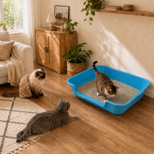 Extra Large Low Entry ABS Cat Litter Box (Large (Pack of 1) / Light Blue)