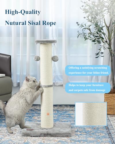 34Inch Tall Cat Scratching Post for Indoor Cats Adults (Grey)