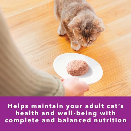 Perfect Portions Sensitive Skin Pate Wet Cat Food (24 Count (Pack of 1))