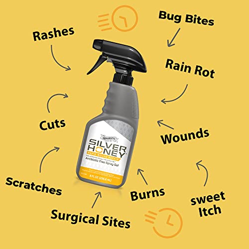 Silver Honey Rapid Wound Repair First Aid Spray Gel (8 Ounce)