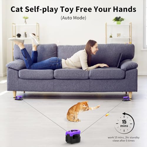 Interactive Cat Toy for Indoor Cats Chase (Elegant Purple)