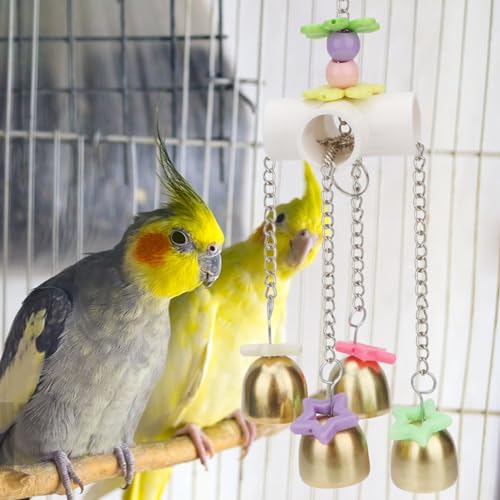 Bird Parrot Bells Toy with Sweet Sound for Parakeet Cockatiel (B (Bird Bell Toy))