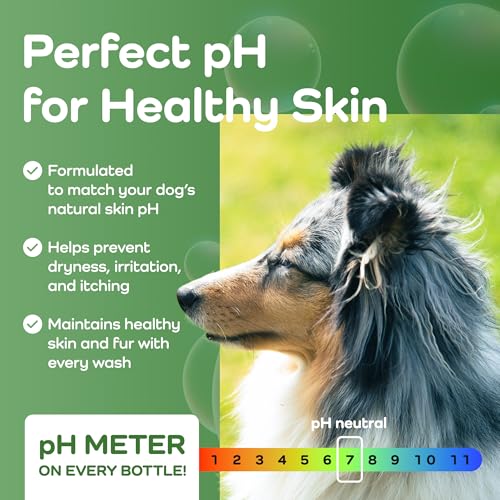 Sensitive Care (Border Collie / 16 Fluid Ounces)