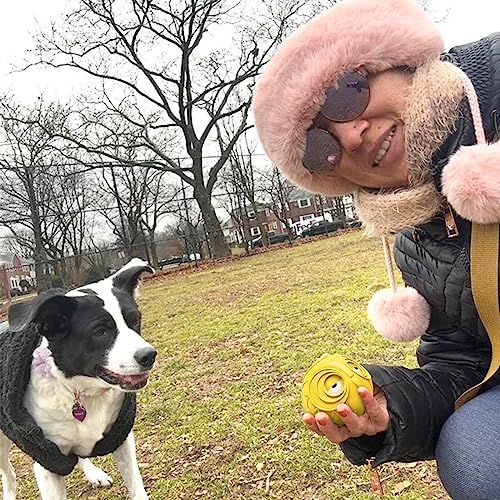 Giggle Ball for Dogs Owl Toys for Puppy Interactive Dog Toy Medium Large Dogs Natural Rubber Cute Hoot Fun Gift for Dog (Yellow)