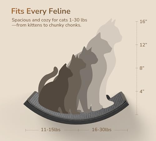 Gray Cat Wall Shelf with Grey Sisal Mat