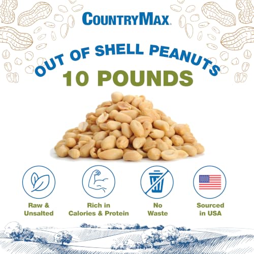 10LB Shelled Whole Peanuts for Wild Birds & Squirrels (10 Pound (Pack of 1) / Shelled Peanut Pickouts)
