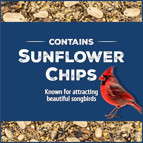 Classic Bird Seed Bird Food (10 pounds)