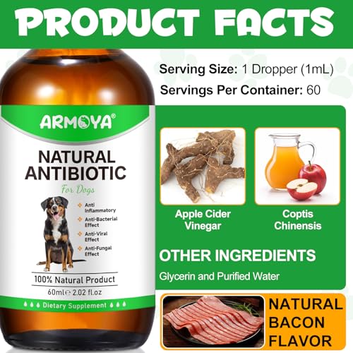Natural Antibiotics for Dogs