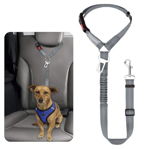 Dog Seat Belt for Car (Grey)