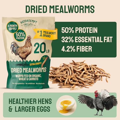20lb Dried Mealworms for Chickens & Wild Birds (20 Pound (Pack of 1))