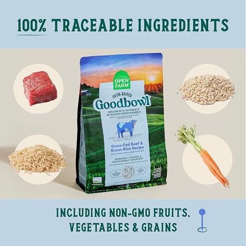 Goodbowl Dry Dog Food (22 Pound (Pack of 1))