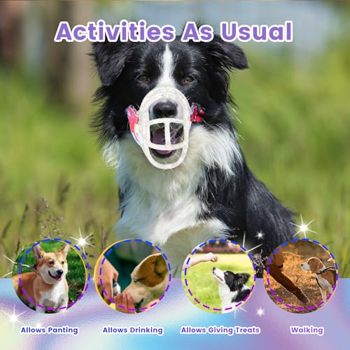 Basket Muzzle Allows Panting Drinking (Transparent / Size 6)