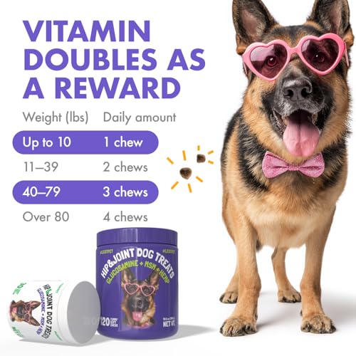 Hemp Hip & Joint Supplement for Dogs Soft Chews Made in USA Functional Glucosamine for Dogs Chondroitin MSM Turmeric Hemp Seed Oil Natural Pain Relief Mobility Advanced Joint 30 Treats (Hip&Joint / 30)