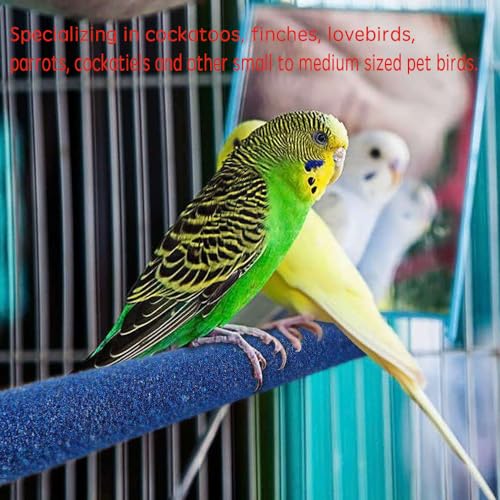10 PCS Parrot Perch Stand Bird Perch Stand Toy Colorful Paw Grinding Stick Cage Wooden Parakeet Perch Accessories for Cockatiels （7.87in (20CM)