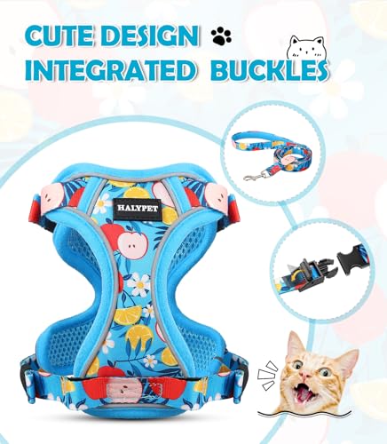 Cat Harness and Leash Set[MAX Safety 4th (H603 Pro Azure Floral / X-Small (4-6lb))