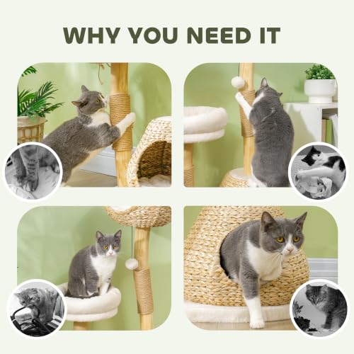 Cat Tree for Indoor Cats