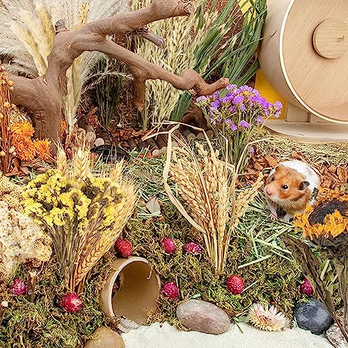 Natural Ear of Grain Flower&Herb Bedding Mate Habitat Decor (Flower Style)