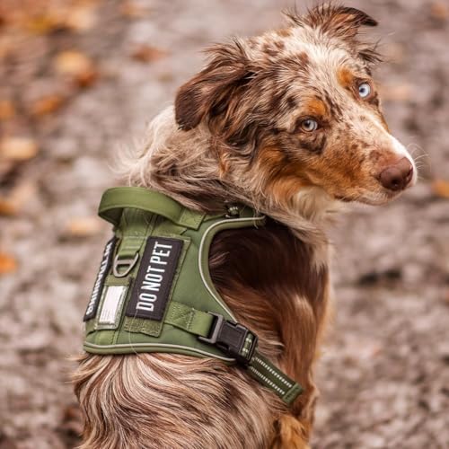 Tactical Dog Harness for Large Dogs (Xl(chest:23.6"-41.8",neck:21.7"-32.3",back:9.1") / Red)