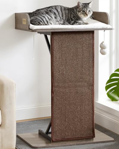 Modern Wood Cat Tree Tower for Indoor Large Adult Cats with Big Perch Bed (Greige1 / 33.8 Inches)