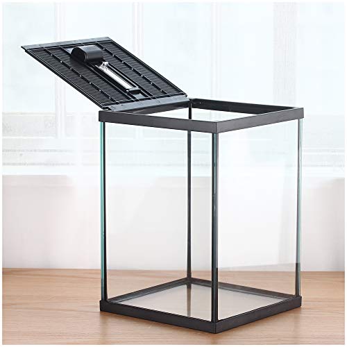 Vertical Glass Terrarium for Mantis (L7.8 x W7.8 x H10.8 inches / Black)