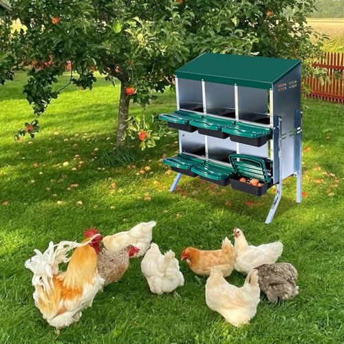 Chicken Nesting Box (Green- 6 compartment with legs)