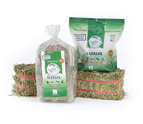 Alfalfa Hay 5 lbs (5 Pound (Pack of 1))