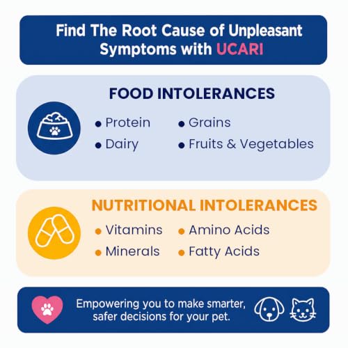 Pet Intolerances Insight Kit (Premium)