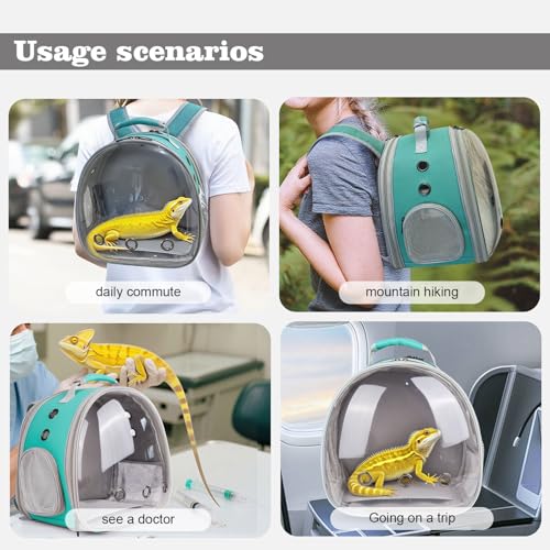 Crested Geckos Backpack Carrier (Green)