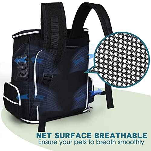 Expandable Pet Carrier Backpack (Black / 12.5"L x 9.0"W x 15.0"H)