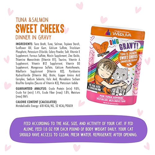 B.F.F. OMG Best Feline Friend Oh My Gravy! (3 Ounce (Pack of 12))