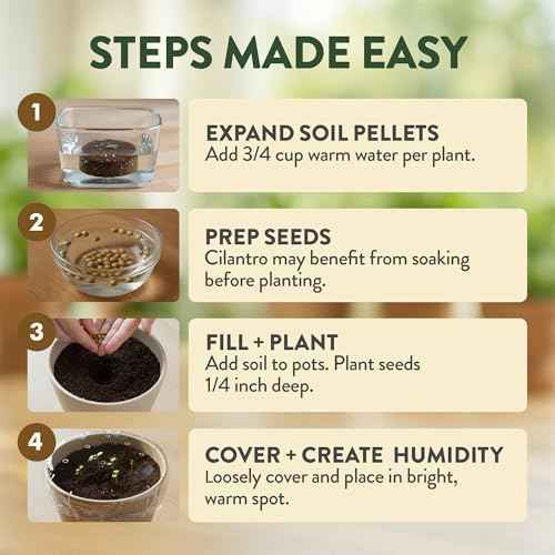 4 Herb Indoor Garden Kit